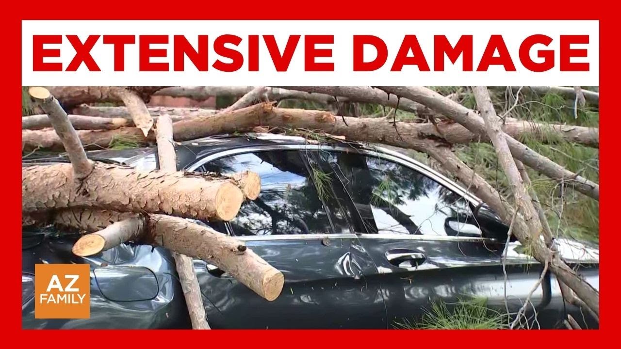 Extensive damage after severe storm rolls through Tempe