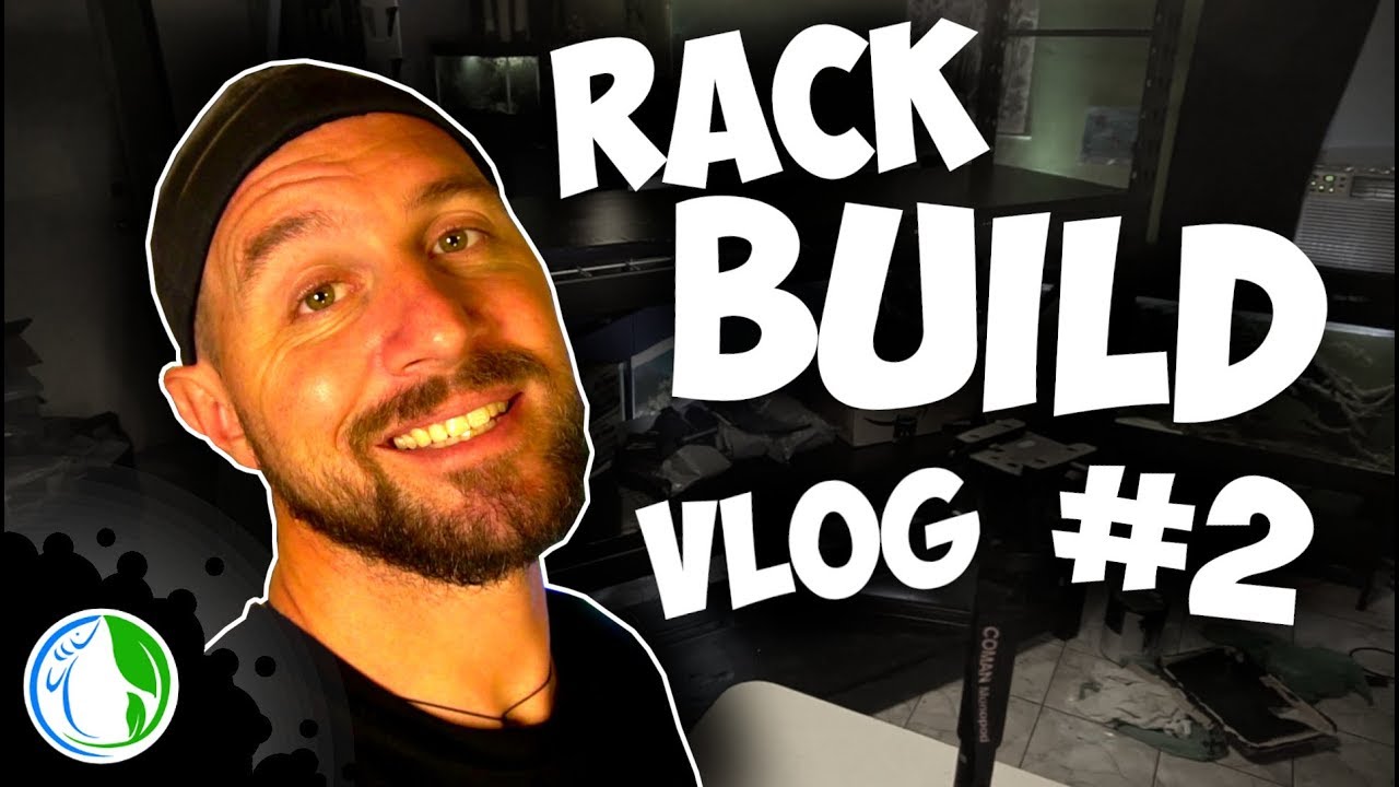 AQUARIUM RACK ALMOST COLLAPSED! DIY FISH TANK RACK BUILD VLOG #2