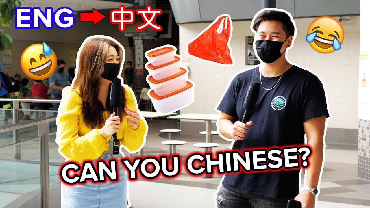Who is the best at their Mother Tongue? : *CHINESE* vs malay vs tamil