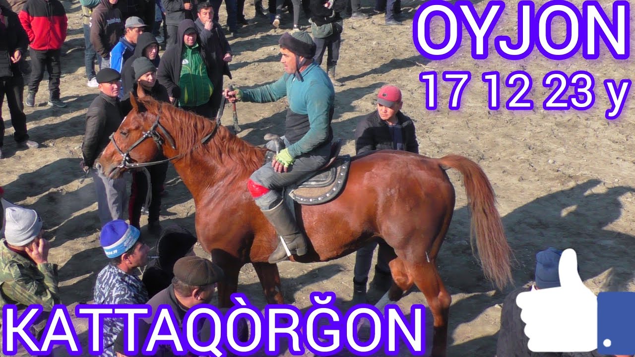 🇺🇿SAMARQAND KATTAQÒRĞON OYJON SULTON BOBONING NABERALARNING 🏇KÒPKARISI 17 12 23 yil #lak