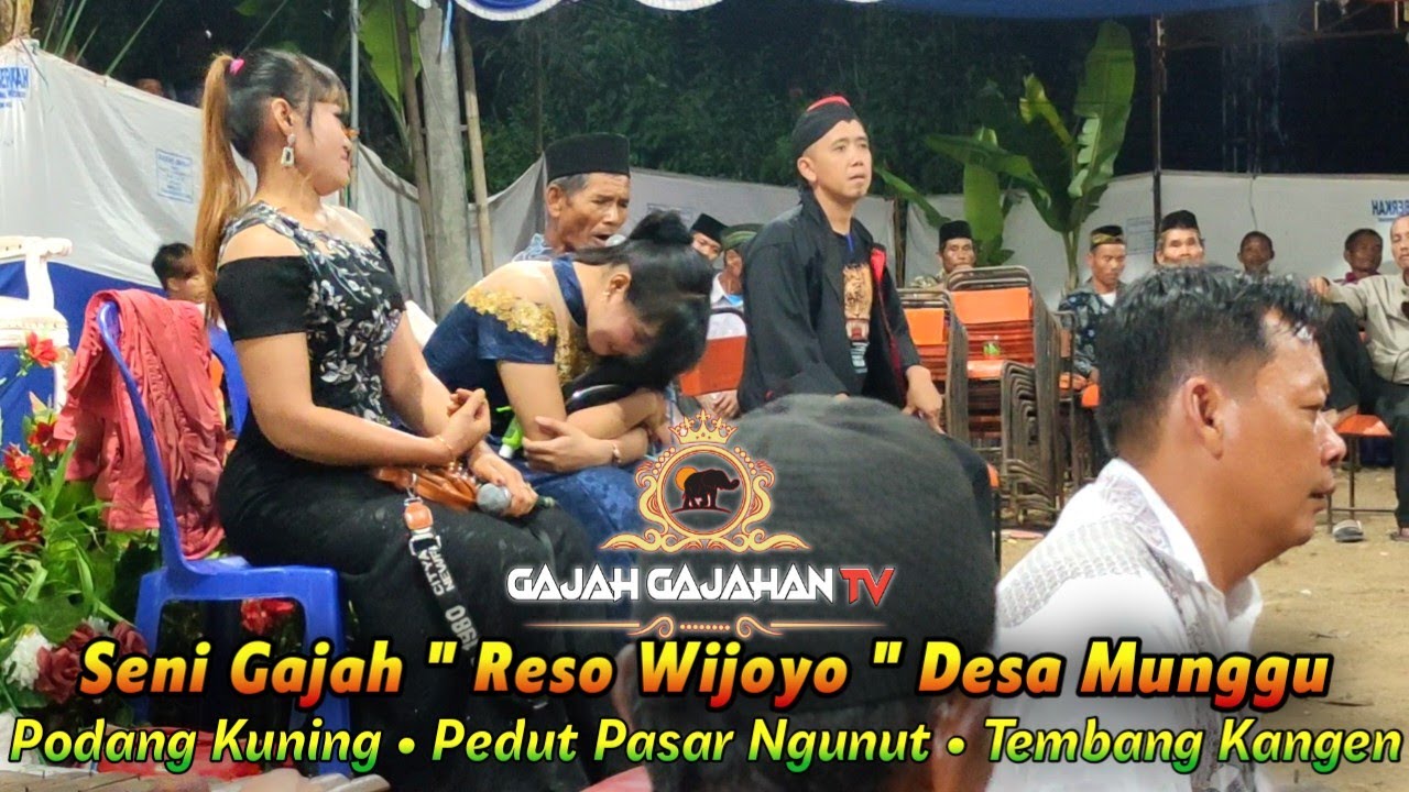 🔴 PODANG KUNING • PEDUT PASAR NGUNUT • TEMBANG KANGEN ❗ Seni Gajah Reso Wijoyo Desa Munggu 2021