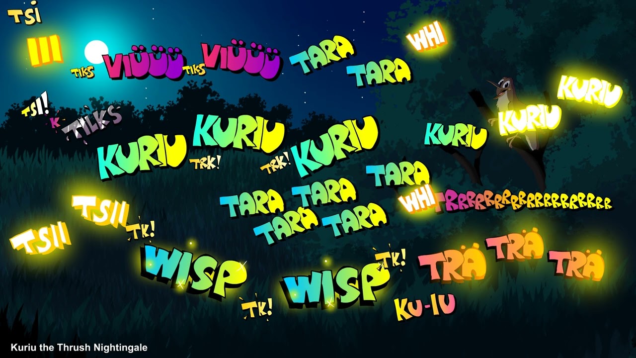Kuriu the Thrush Nightingale 2025