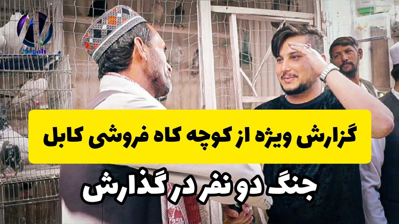 گزارش ویژه از کوچه کاه فروشی کابل/ جنگ دو نفر در گزارش