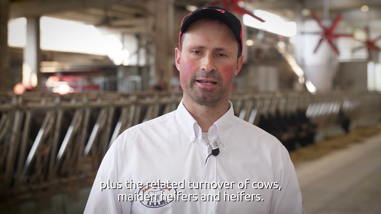 Lely Vector - Installation of 1000th Lely Vector system on a farm in Padova, Italy (EN subtitles)