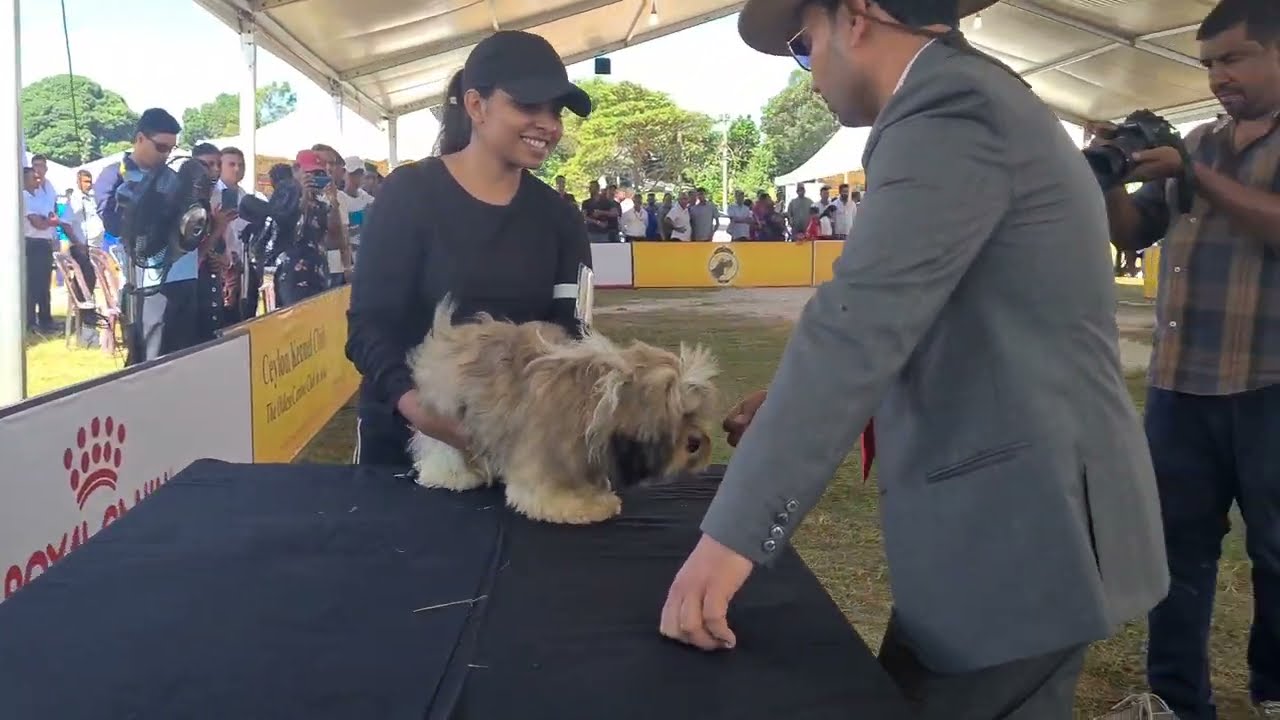 DOG SHOW | SRI LANKA🇱🇰( PART 1 )