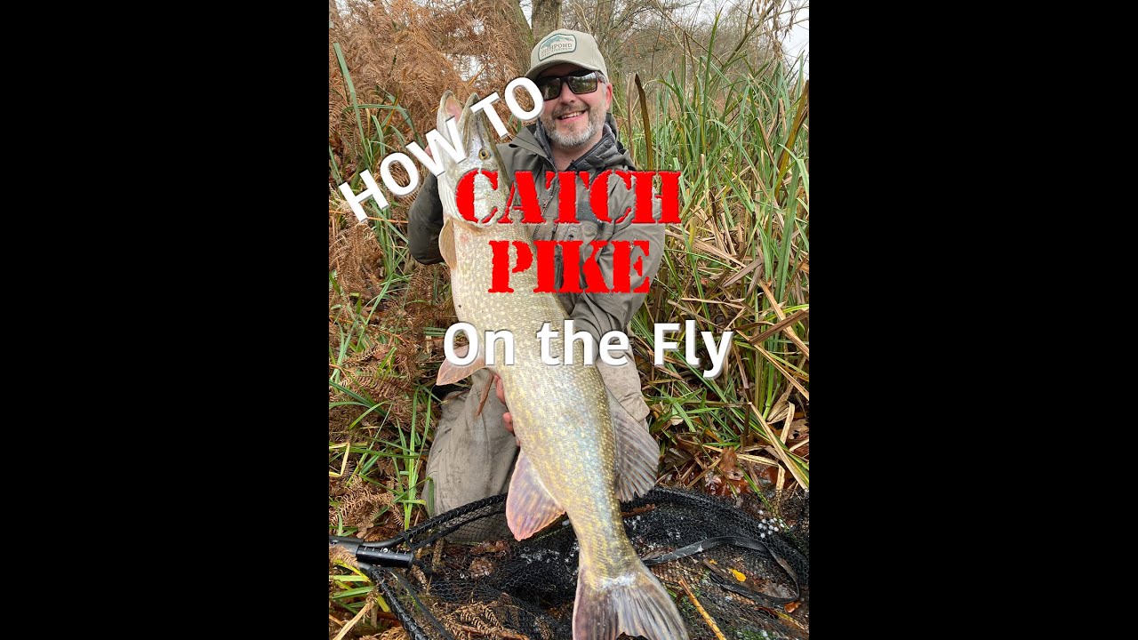 A beginners guide to Pike fishing #Fishing #Flyfishing