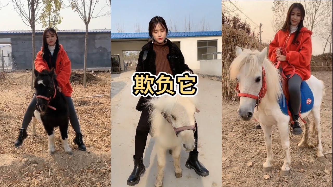 美女骑小马...Beautiful girl riding a pony