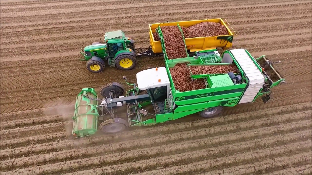 AVR Puma / Aardappels rooien / Harvesting Potatoes / Kartoffelnernte / 2 x John Deere / New Holland