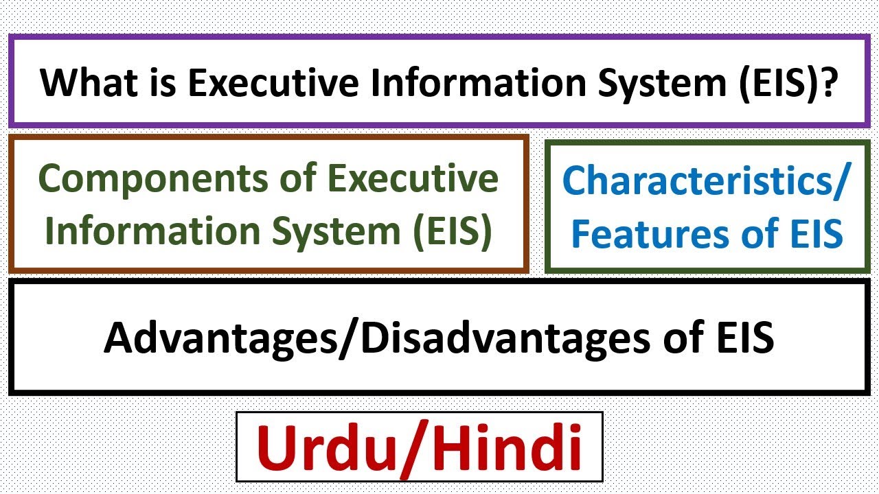 What is Executive Information System(EIS) OR Executive Support System (ESS)? Components/Features