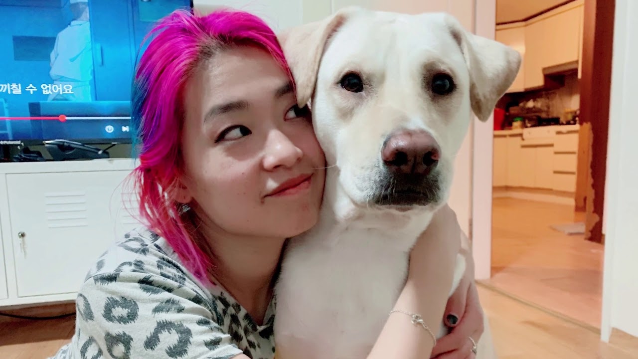 Rescued from a South Korea dog meat farm, DeeJay's story