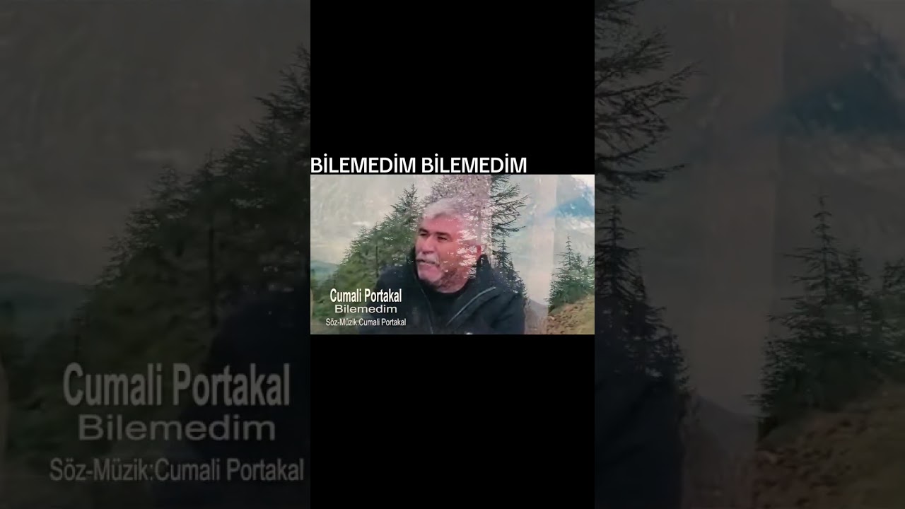 BİLEMEDİM BİLEMEDİM 