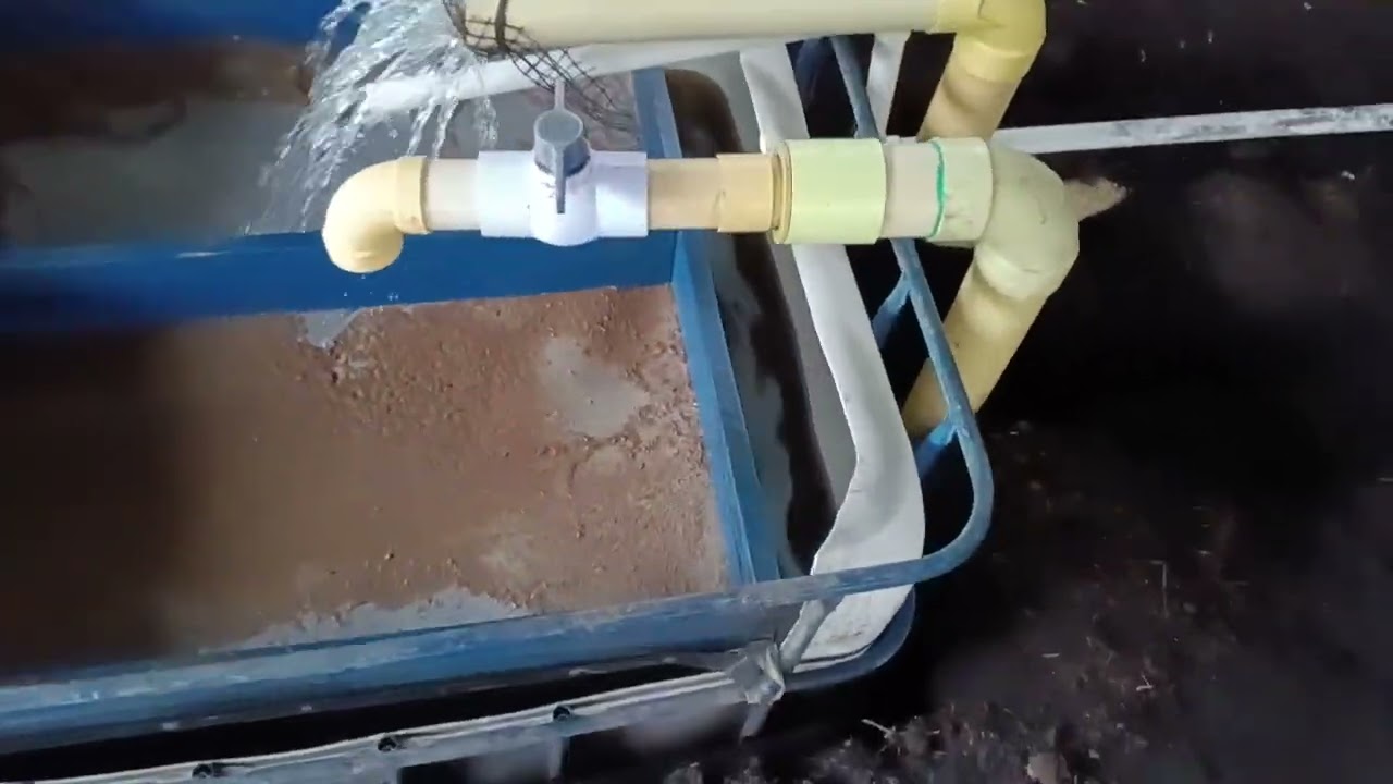 La importancia de realizar un buen diseño en acuaponia
