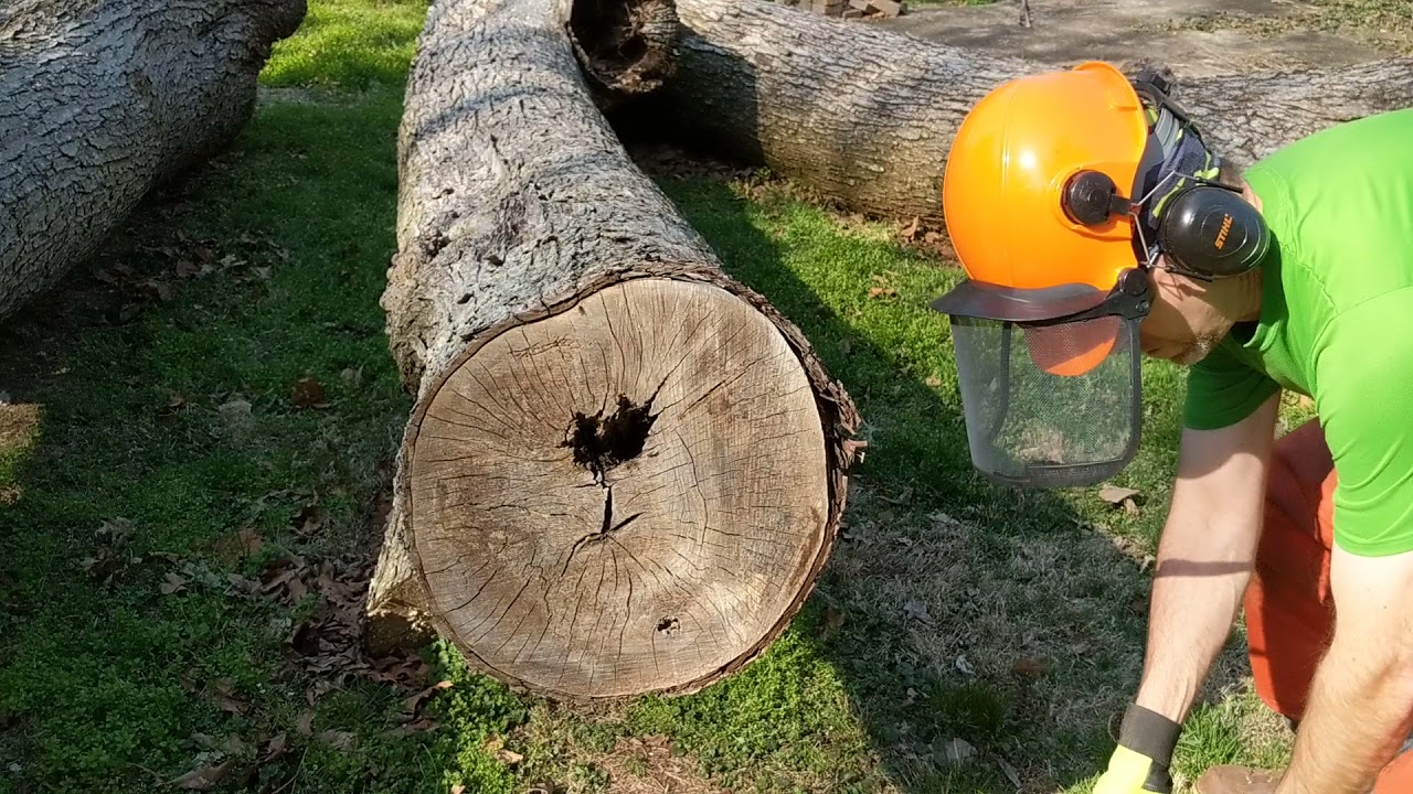 Old School Husqvarna 266SE vs New School Stihl MS500i......Who Wins???