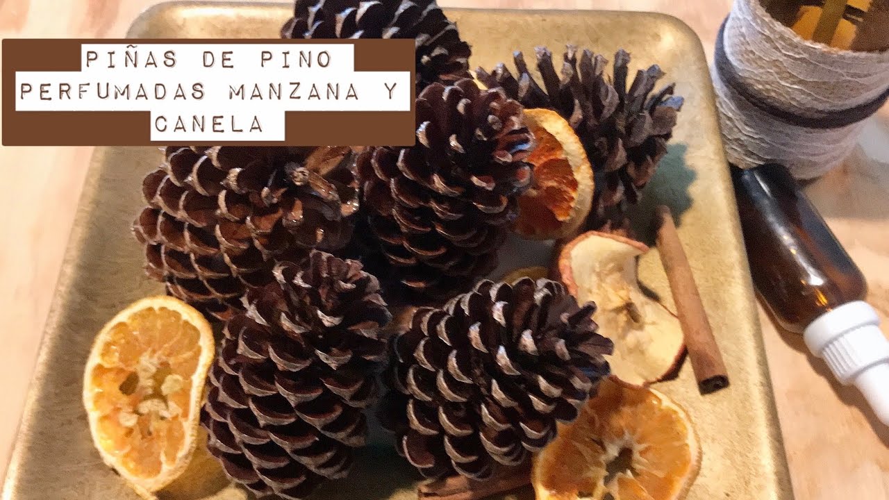 CÓMO PERFUMAR PIÑAS DE PINO🍁🍂💕👍( MANZANA Y CANELA )