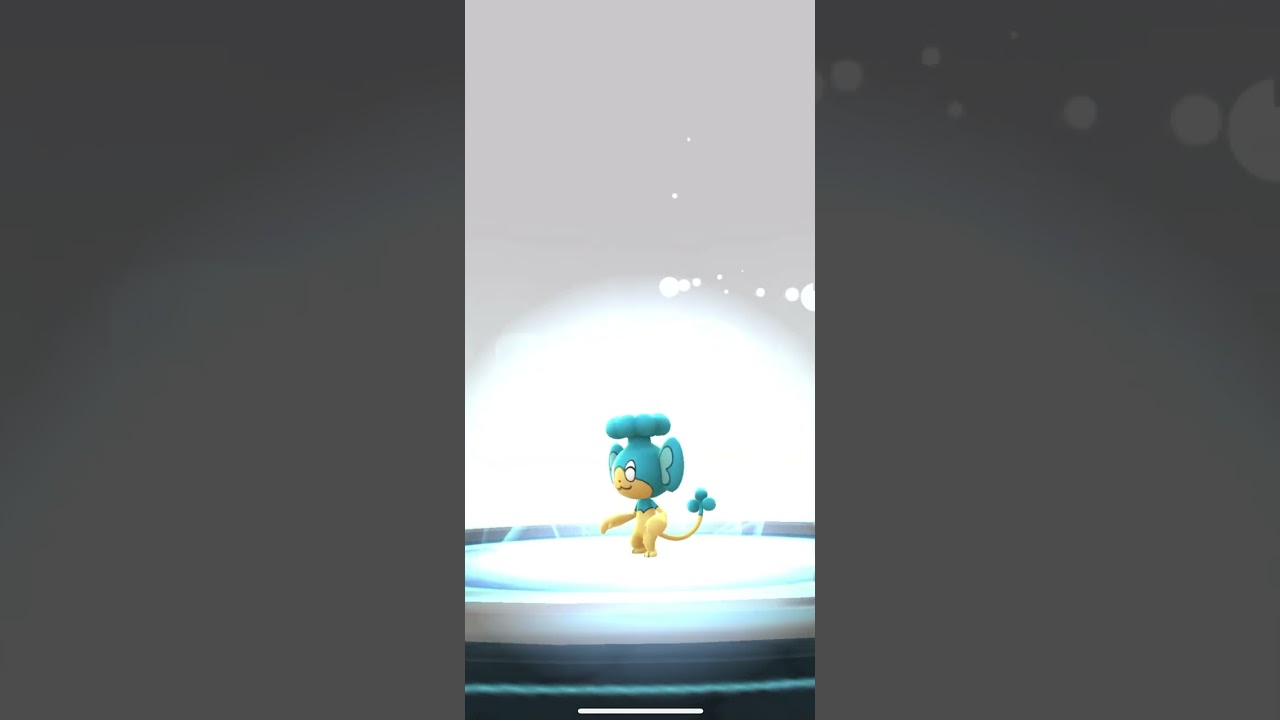 [Pokemon GO] Evolving 98% Panpour into 98% Simipour! #pokemon #evolution #panpour #simipour