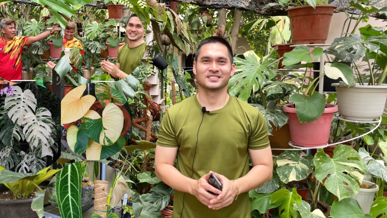MABUBUSOG MATA NYO SA GANDA NG MGA RARE PLANTS | GARDEN RAID | BECHOY VLOG