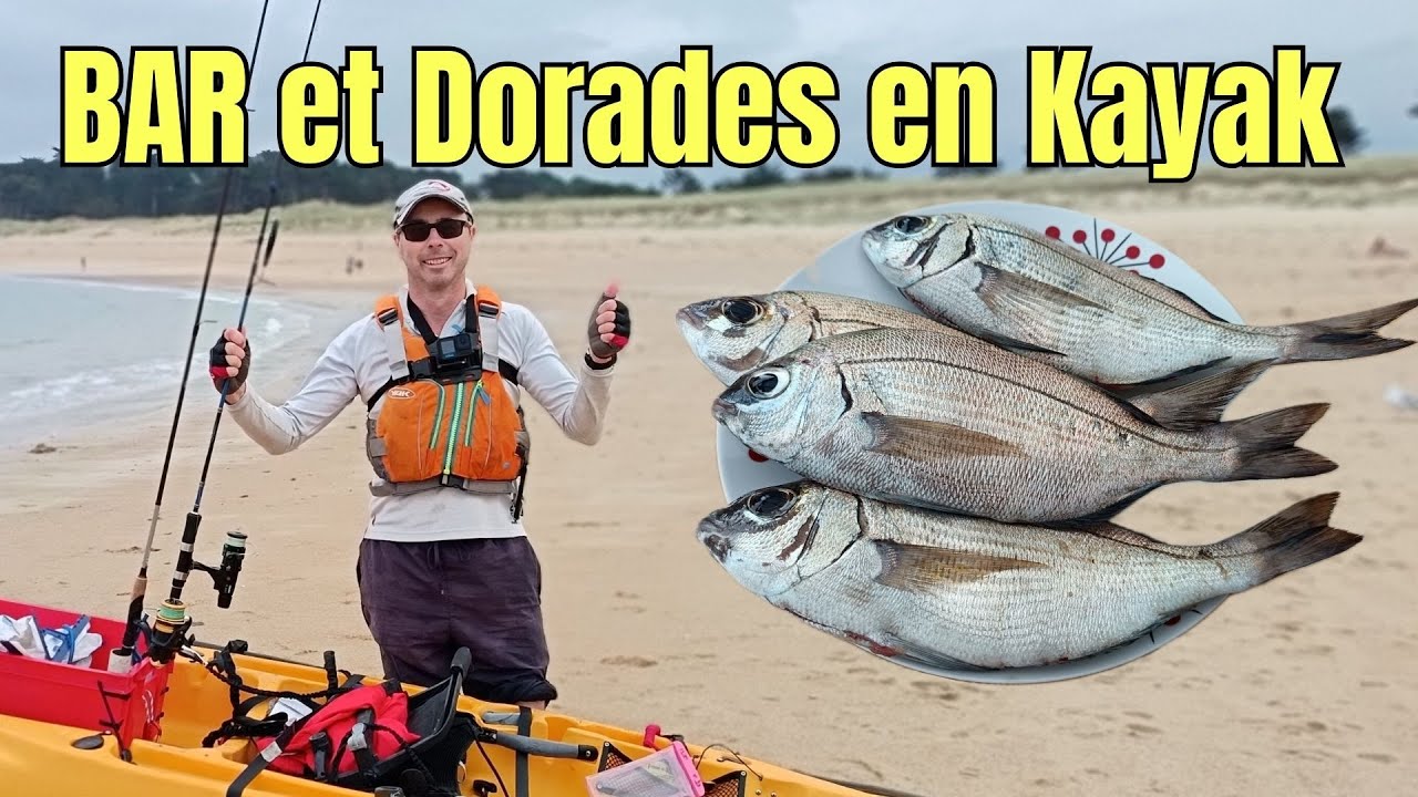 Pêche du bar et de la dorade en kayak