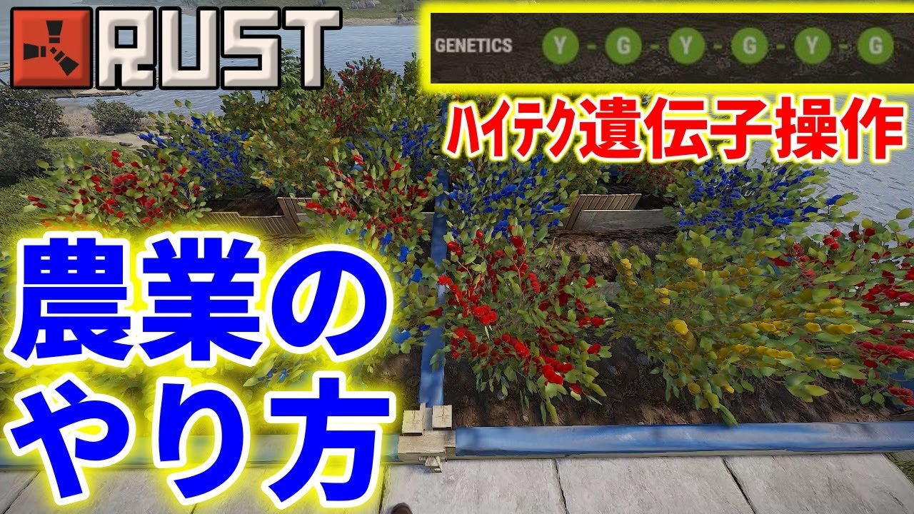 Rust 農業 基本編 完全 攻略 ＋誰でもできる 神 遺伝子 の作り方