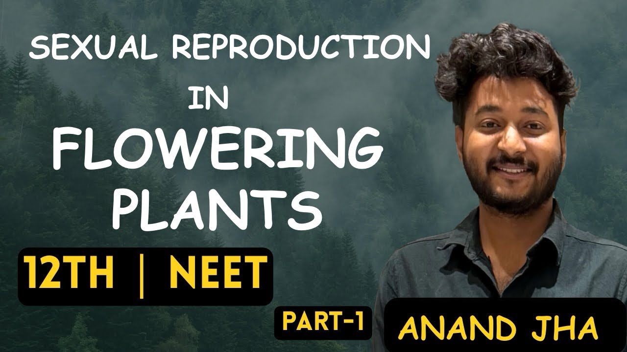 Sexual Reproduction in Flowering Plants for NEET || By-Anand Jha