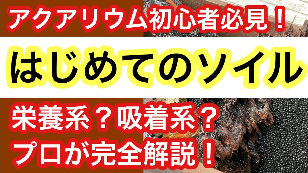 【はじめてのソイル(土)ガイド】プロのソイル選びをやさしく解説します!