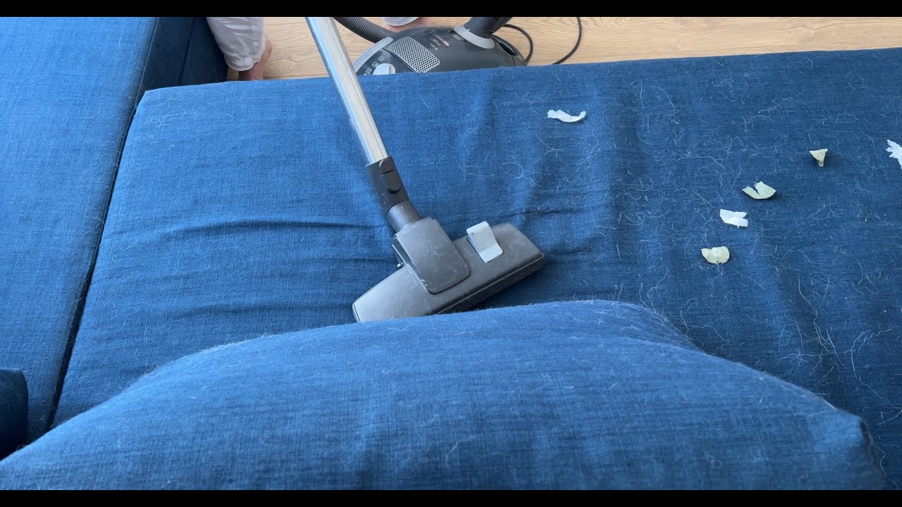 Vacuuming sofa and carpets with Miele vacuum cleaner