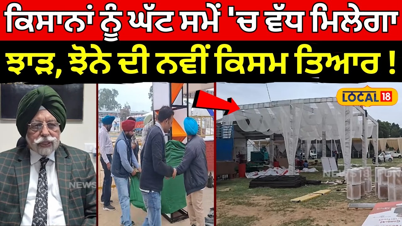 Ludhiana News | ਕਿਸਾਨਾਂ ਨੂੰ ਘੱਟ ਸਮੇਂ 'ਚ ਵੱਧ ਮਿਲੇਗਾ ਝਾੜ, ਝੋਨੇ ਦੀ ਨਵੀਂ ਕਿਸਮ ਤਿਆਰ ! Paddy  #local18