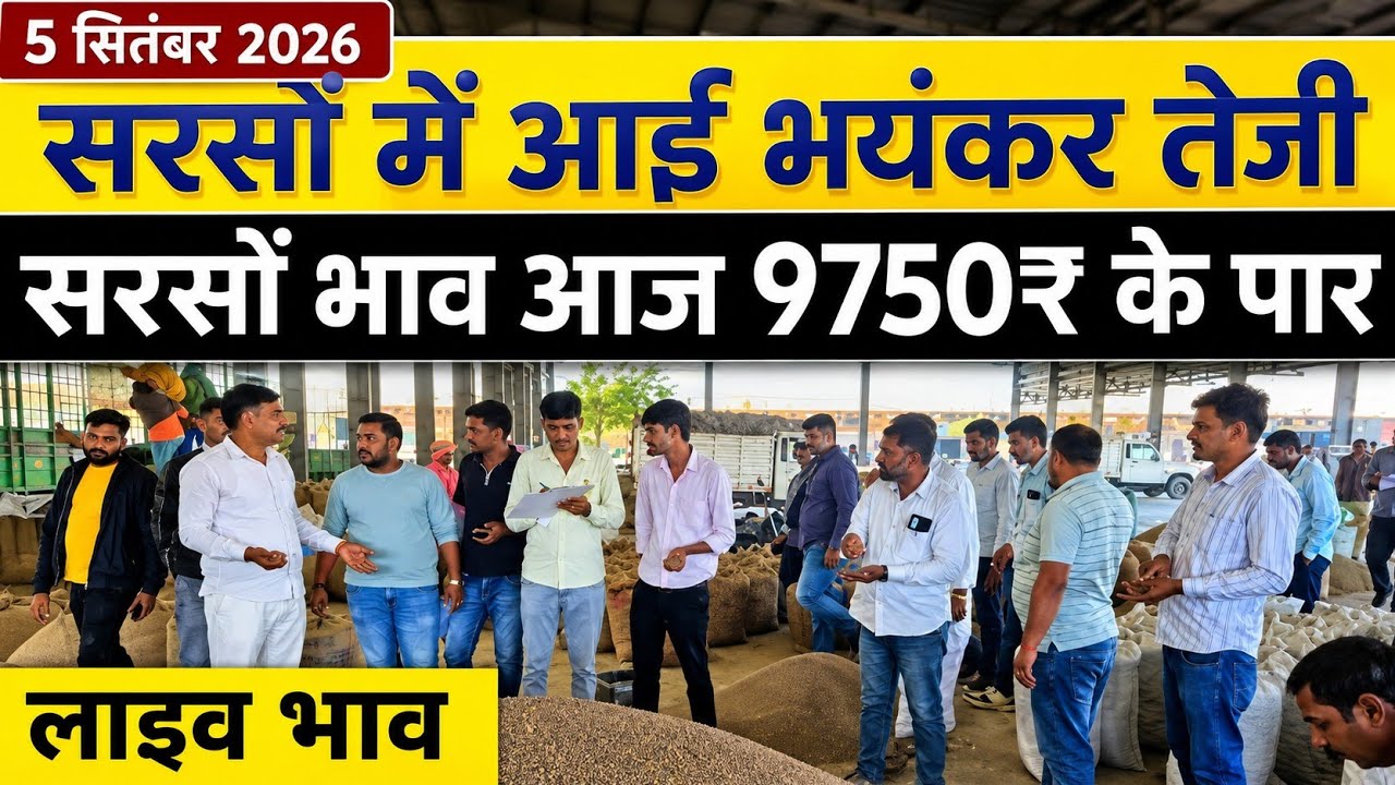 5 सितंबर 2026सरसों में जबरदस्त तेजी! Aaj Ka Sarson Ka Bhav, Sarso Ka Rate Today, ताजा सरसों भाव 