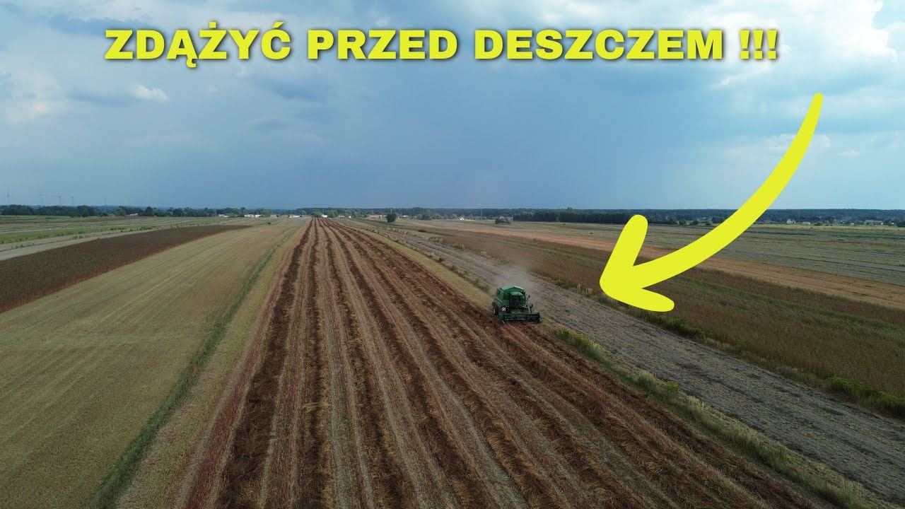 Żniwa 2024  ⭐Gryka z pokosu ⭐ John Deere 1450 CWS  ⭐Jonh Deere 6330 ⭐