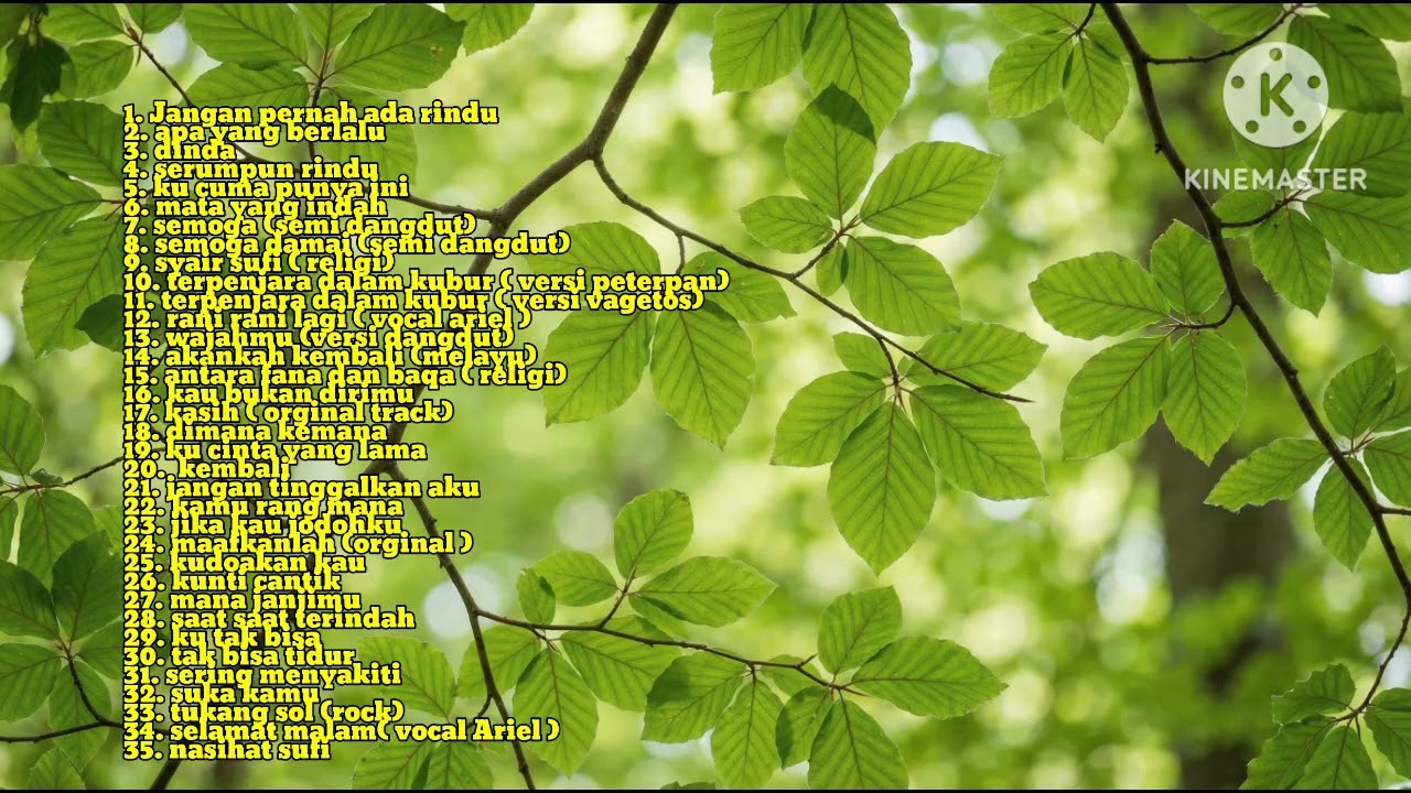 35 DIRECT SONG LAGU PILIHAN