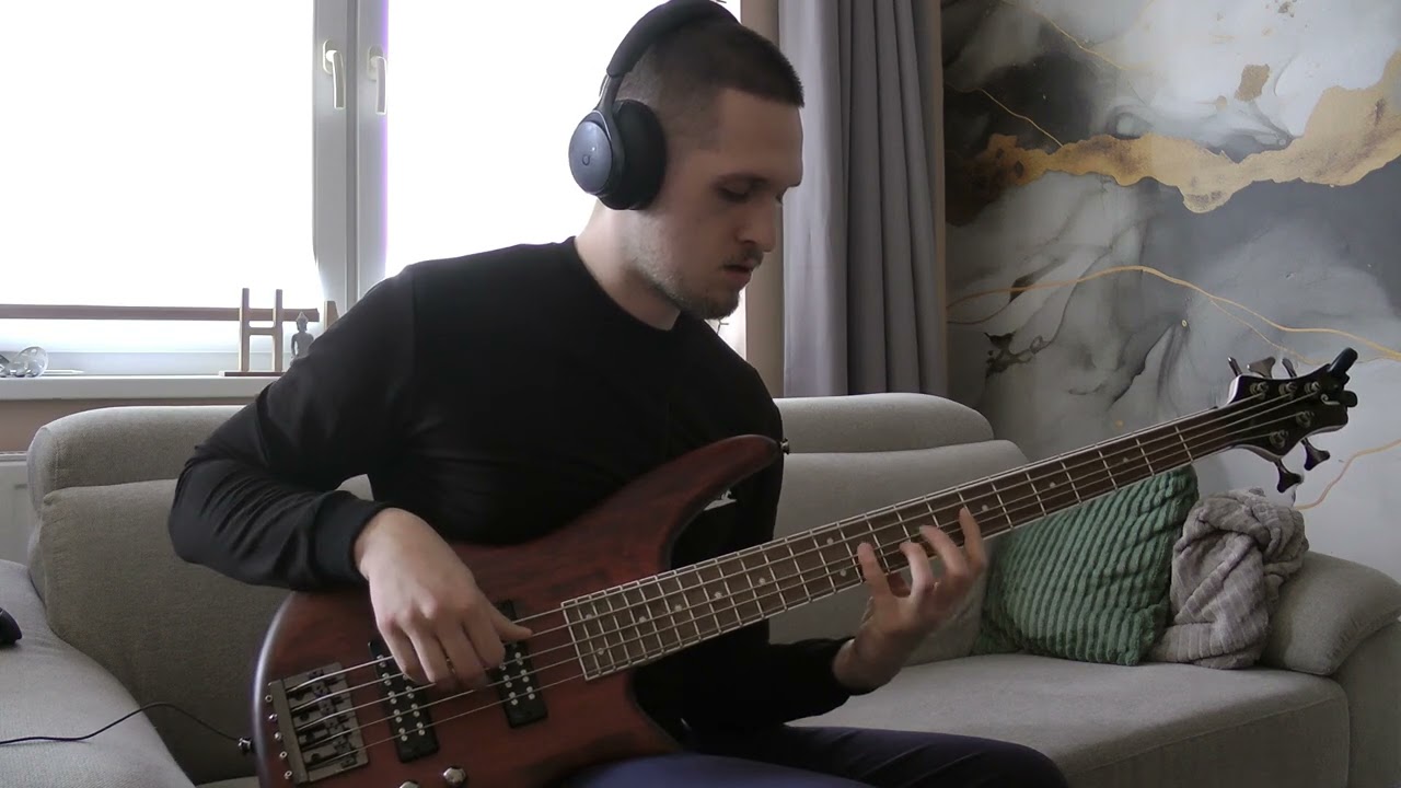 Red Hot Chili Peppers - Dark Necessities (Bass Cover)