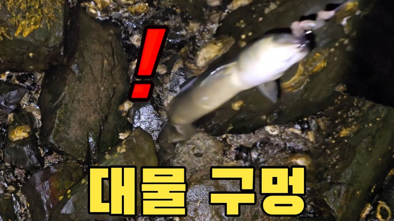 미쳤다!! 이런 구멍은 대물이 계속 들어옵니다