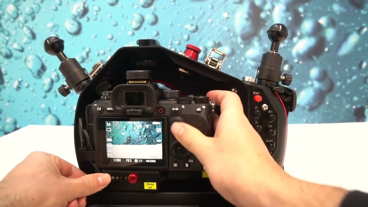 Settings Sony Alpha 1 - Leo3 Wi (New Control)