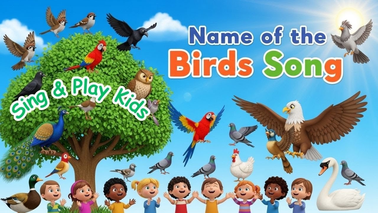 Name of the Birds Song 🐦 | Kids Learning & Singing | No Copyright Children’s Song