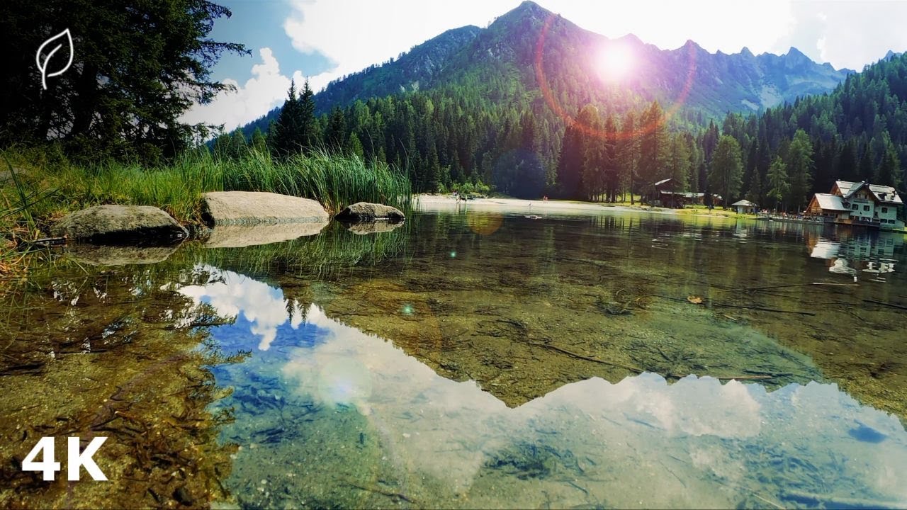 20 Minute Deep Meditation | Relax, Let Go & Find Inner Stillness (4K)