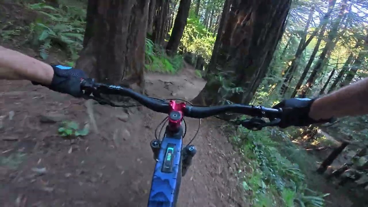 Joaquin Miller single track. February 4, 2026