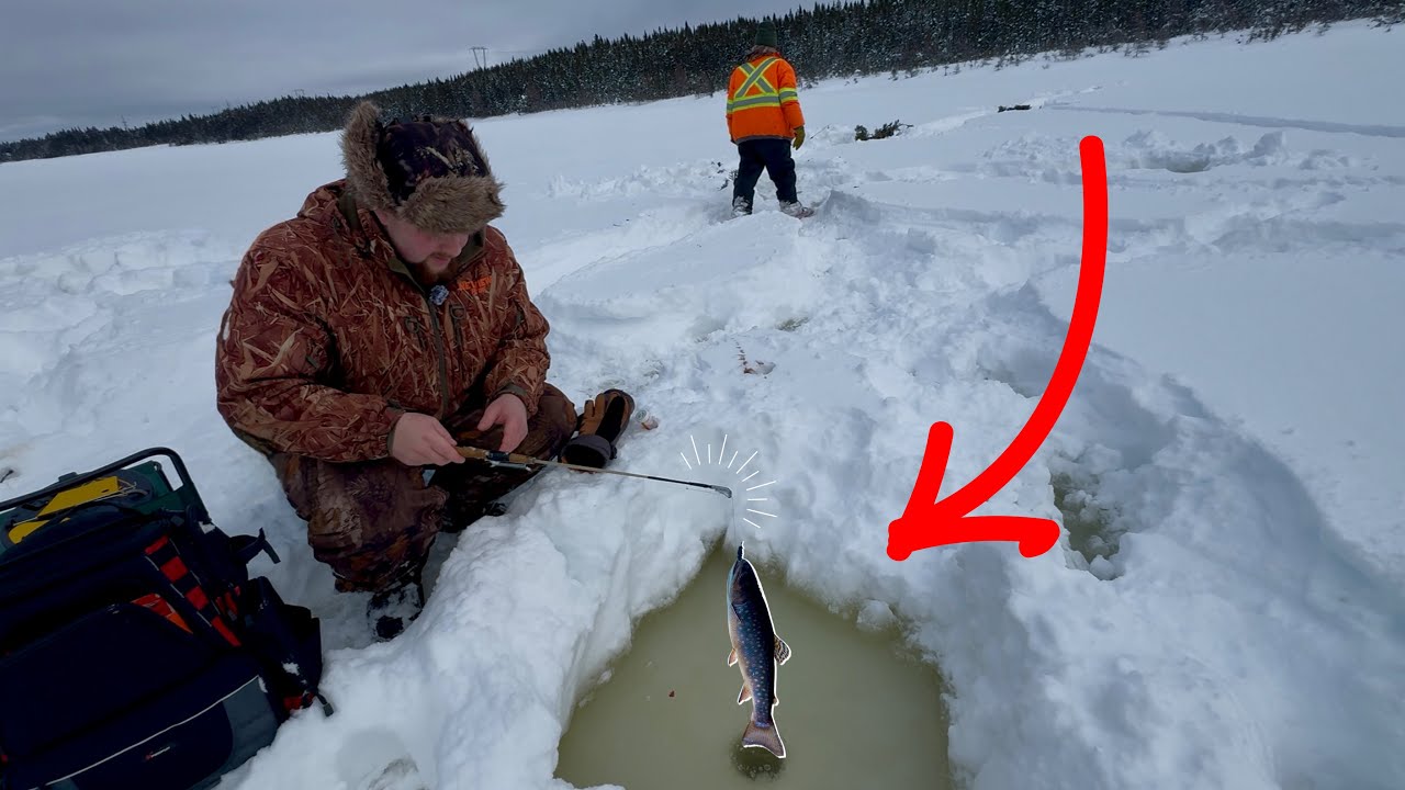 Opening Day Ice Fishing For Brook Trout ! ( Newfoundland ) 