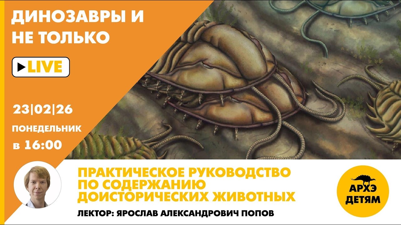 Занятие «Практическое руководство по содержанию доисторических животных» с Ярославом Поповым