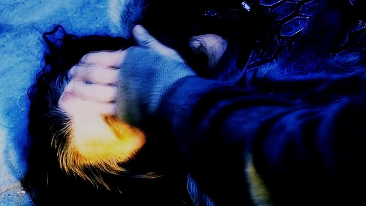 Thorin & Bilbo • I don't wanna waste another day or night