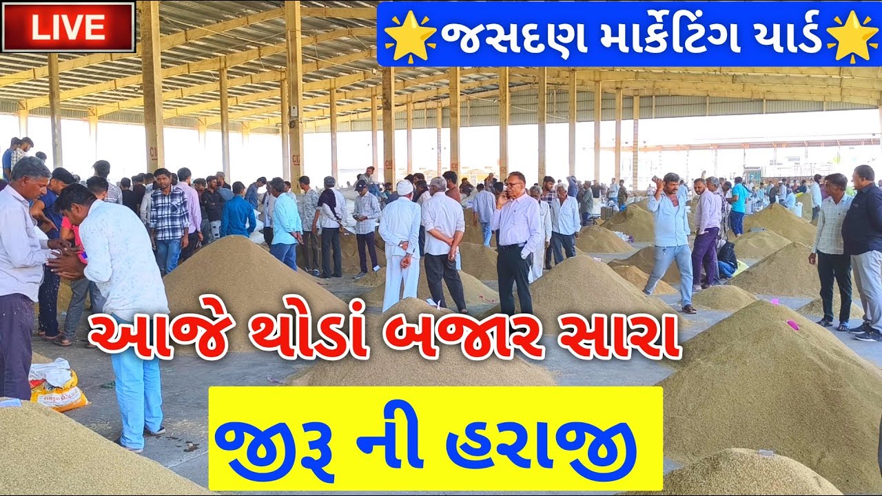 🔴live જીરૂ ના ભાવ આજના જસદણ માર્કેટિંગ યાર્ડ| jeera auction price today jasdan APMC,October 15, 2025