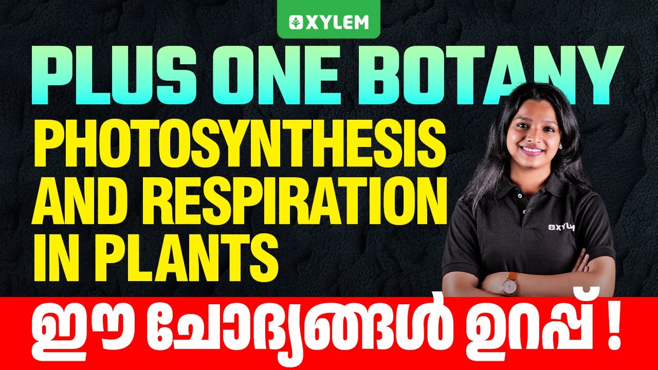 Plus One Botany | Photosynthesis and Respiration in Plants | ഈ ചോദ്യങ്ങൾ ഉറപ്പ് | Xylem Plus One