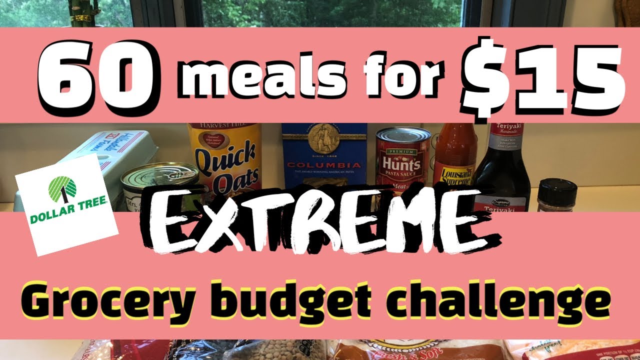 60 MEALS FOR $15 // EMERGENCY EXTREME BUDGET GROCERY HAUL 2020