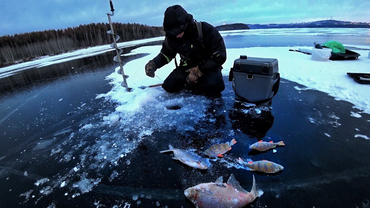 БЕЗМОТЫЛКА БОЛЬШОЙ ВЫПУСК. МОРМЫШКИ, КИВКИ, ПРОВОДКИ, ТАКТИКА ЛОВЛИ, СНАРЯГА.