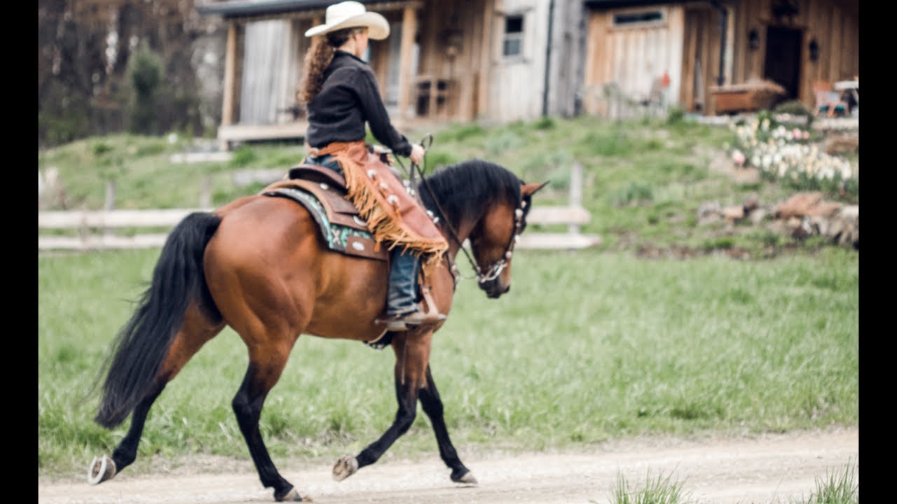 The most difficult transition we do with a horse: Episode 9-The Trail to the World Show
