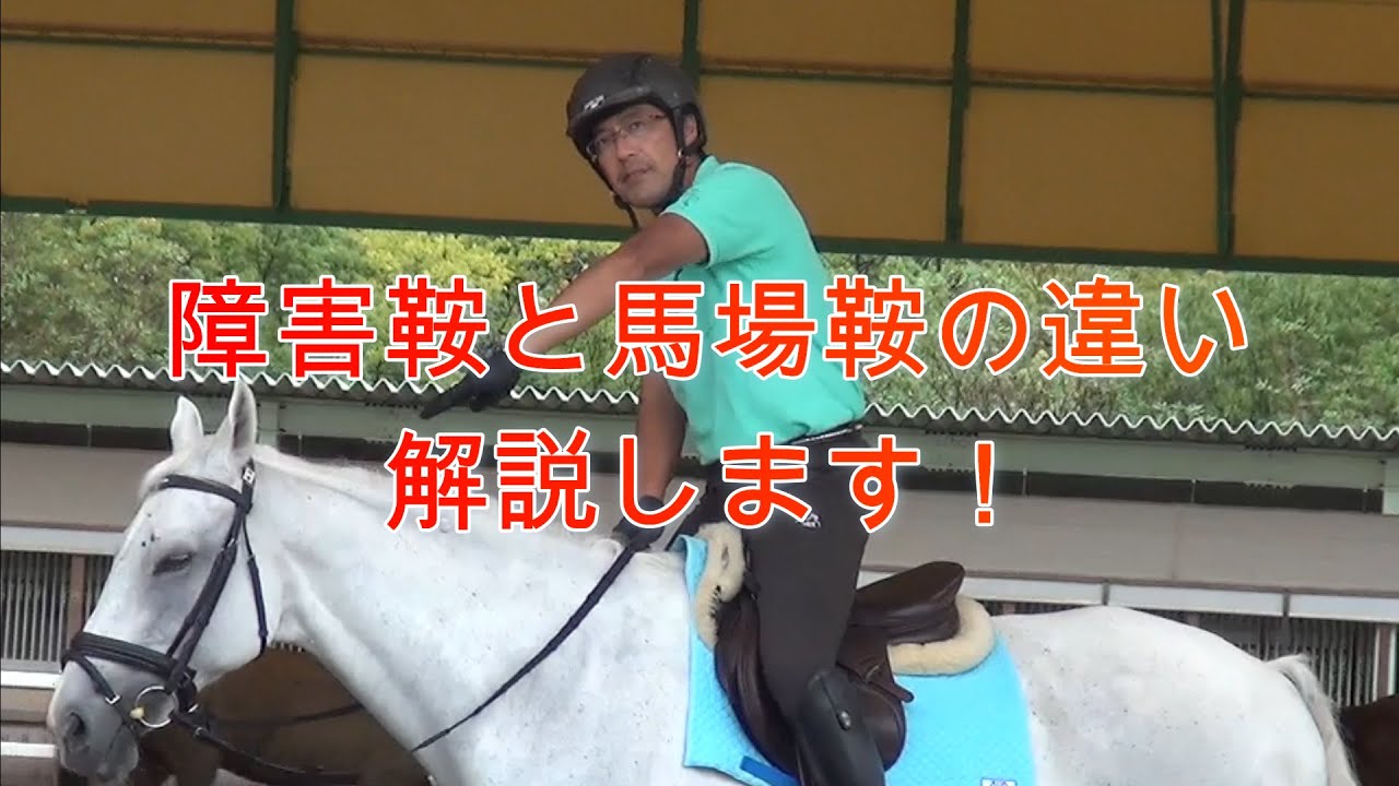【動画で乗馬レッスン#22】障害鞍と馬場鞍の違い｜神戸からすぐの乗馬クラブ明石乗馬協会