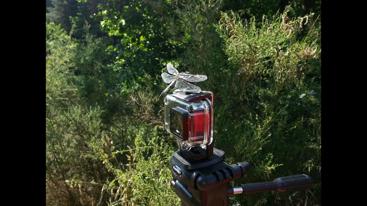 Mostowo - Niedalino spływ rzeką Radew 