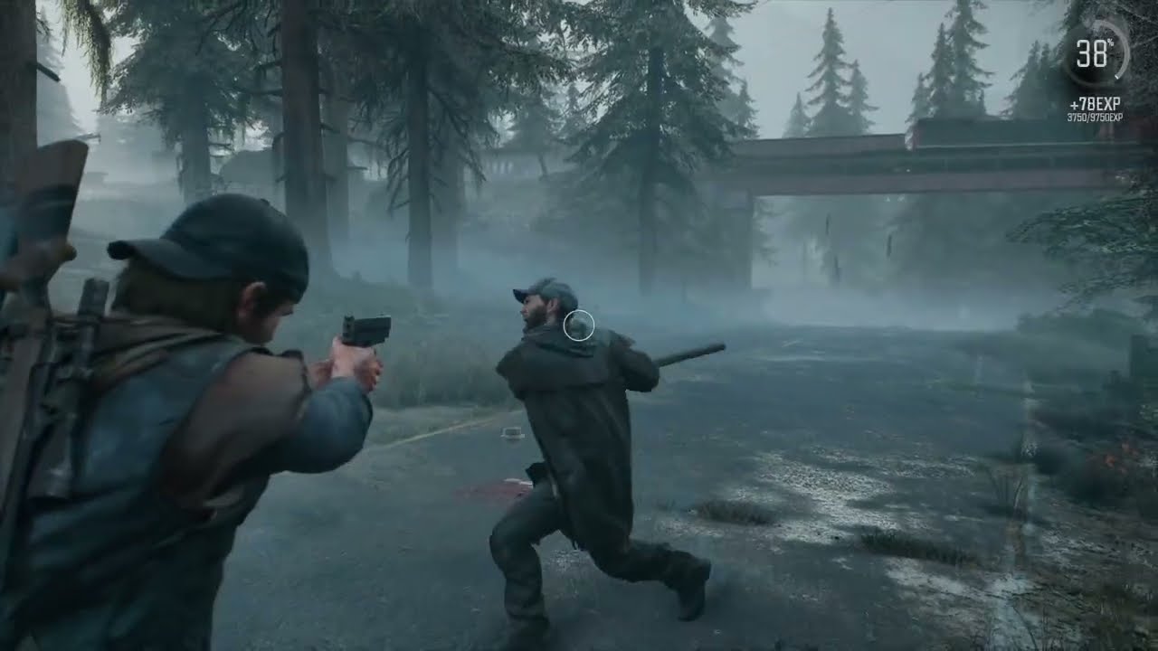 Days Gone #2