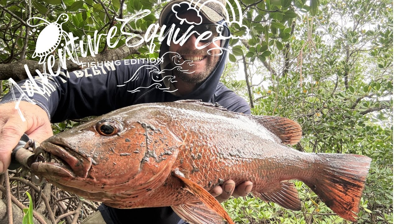 FISHING DEEP IN THE MANGROVES ON FOOT FOR MANGROVE JACK ON THE SURFACE!