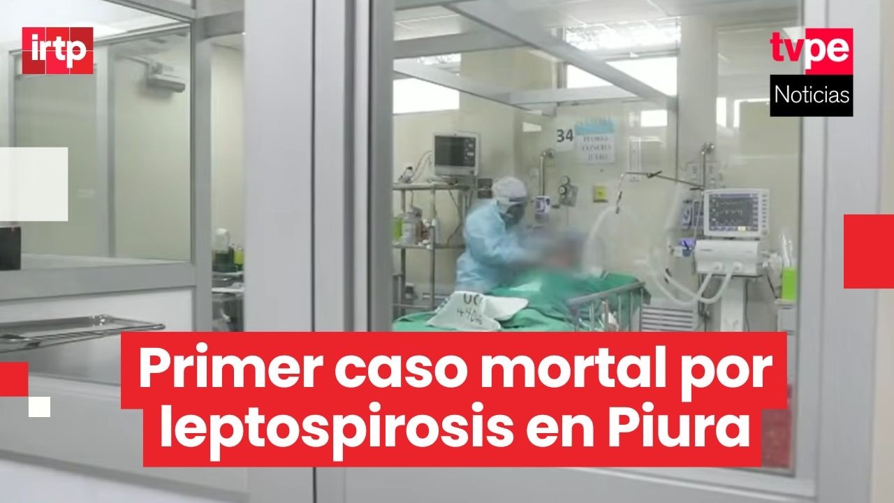 Piura confirma muerte de niña de 6 años por leptospirosis