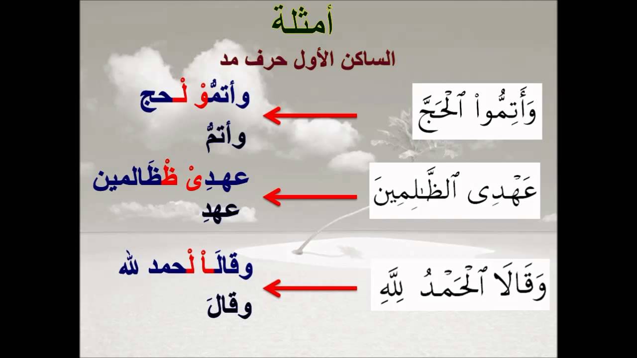 الحلقة الرابعة والعشرون - لقراءة صحيحة في تلاوة كتاب الله