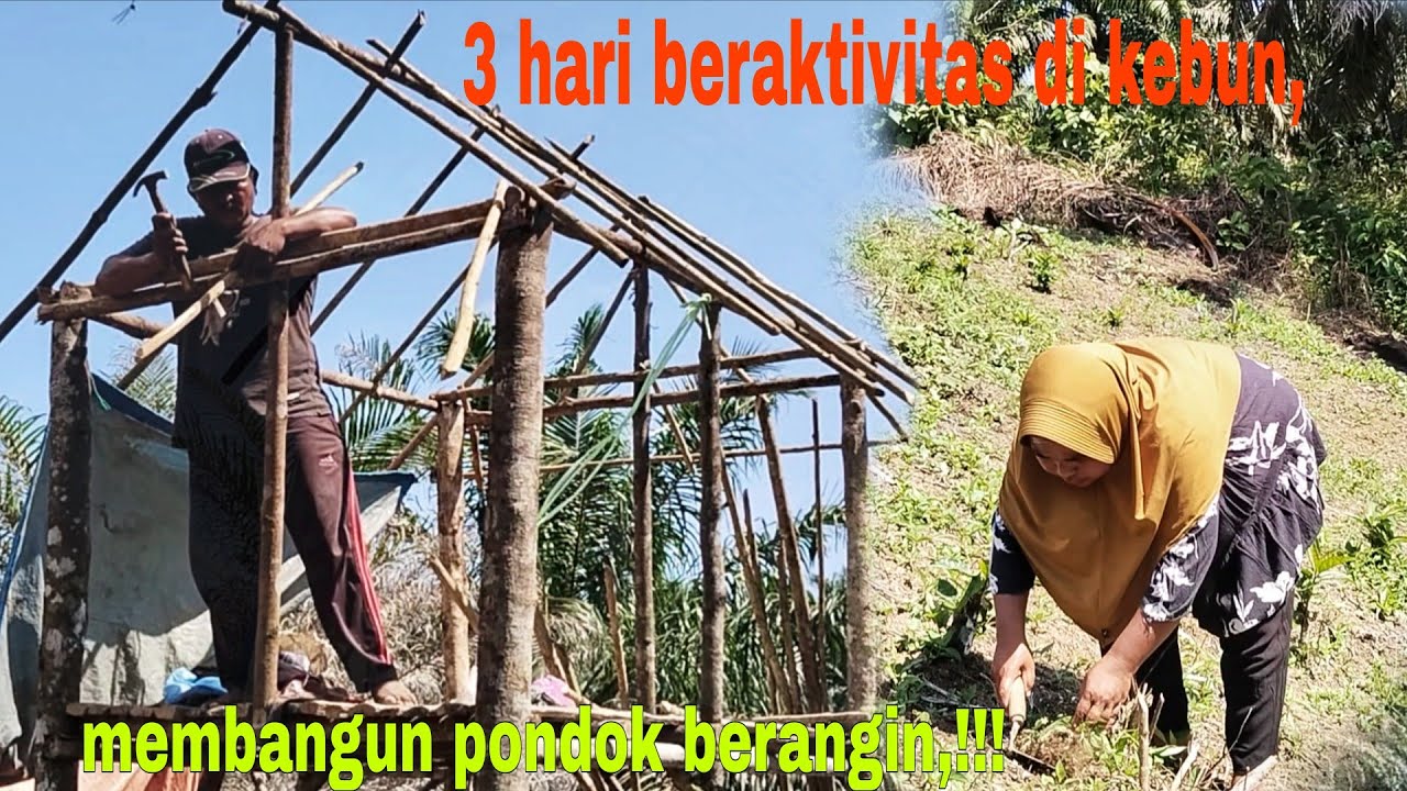 AKTIVITAS TERTUNDA AKIBAT HUJAN DERAS, MEMBANGUN PONDOK BERANGIN, 